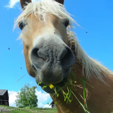 Stanglhof - By Mynests