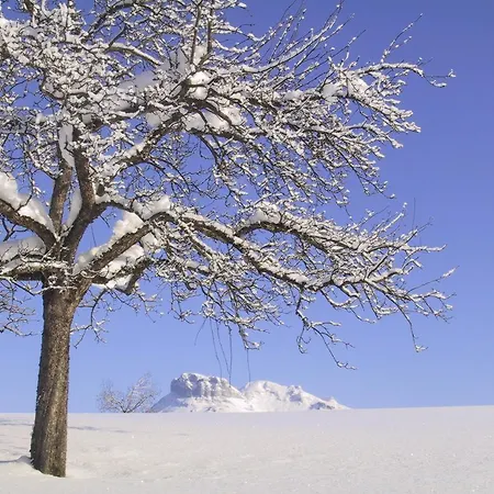 Lejlighed Stanglhof - By Mynests *