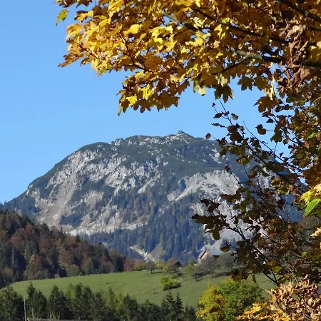 Stangl - Hof Appartement Bad Aussee