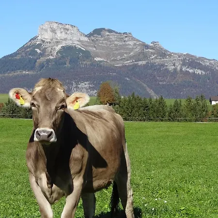 Stanglhof - By Mynests Lejlighed