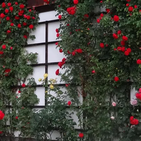 Lejlighed Stanglhof - By Mynests